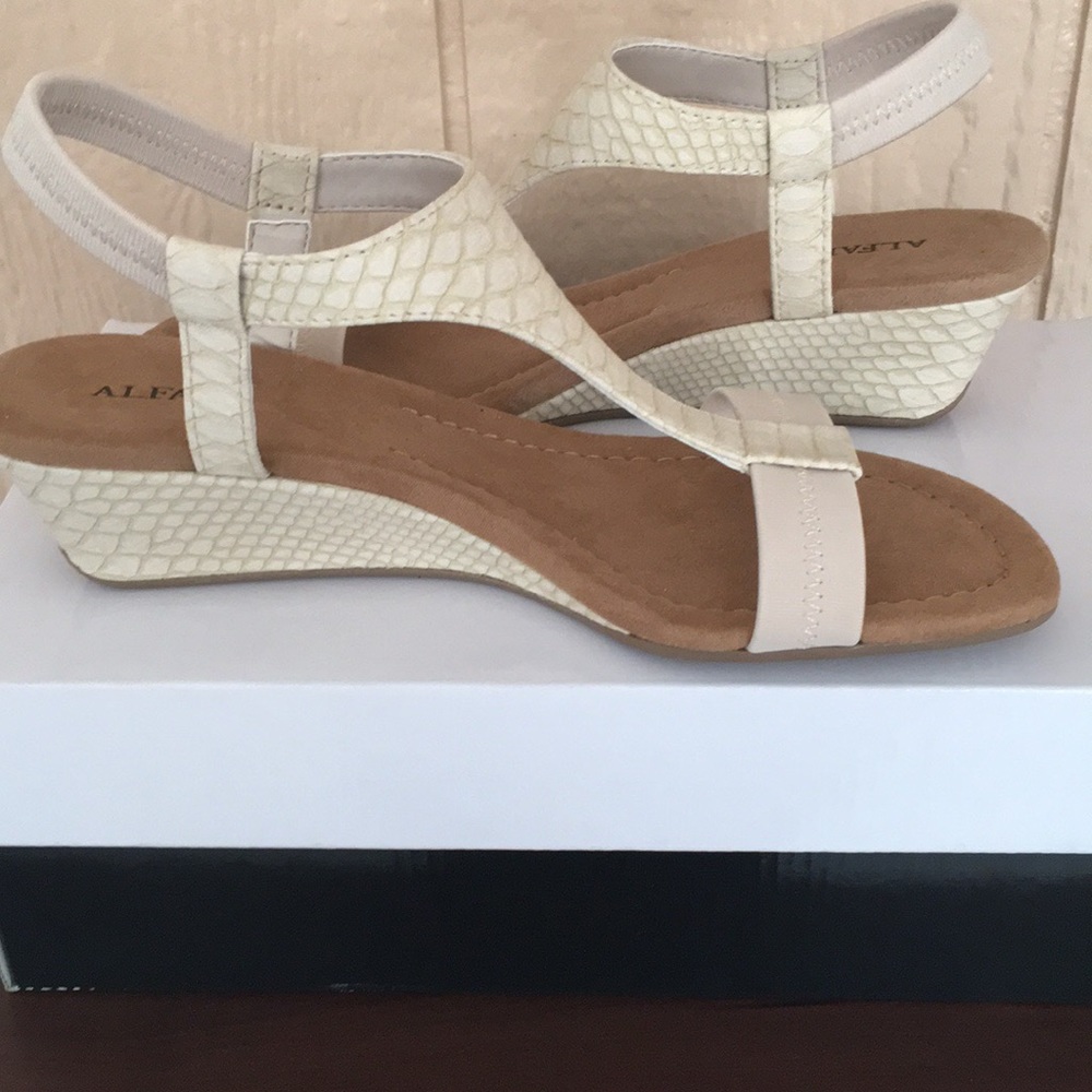 ✨New Alfani Shoes!✨